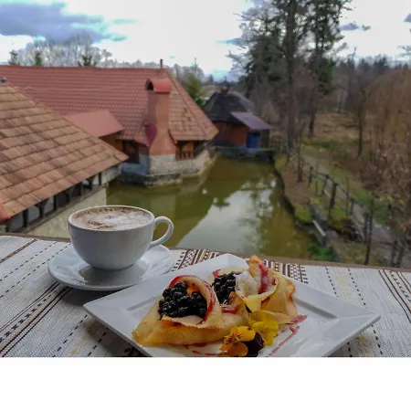 ворота карпат * Deljatin