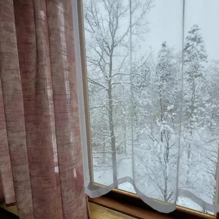 ворота карпат * Deljatin