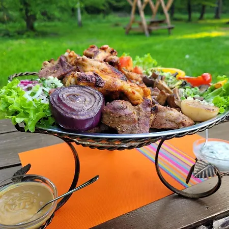 Otel ворота карпат