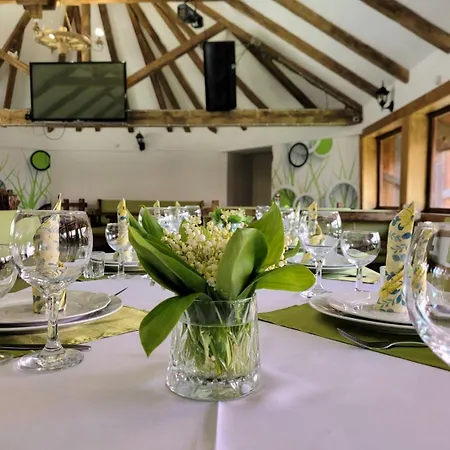 Szálloda ворота карпат