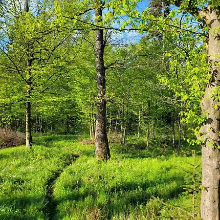 Otel ворота карпат *