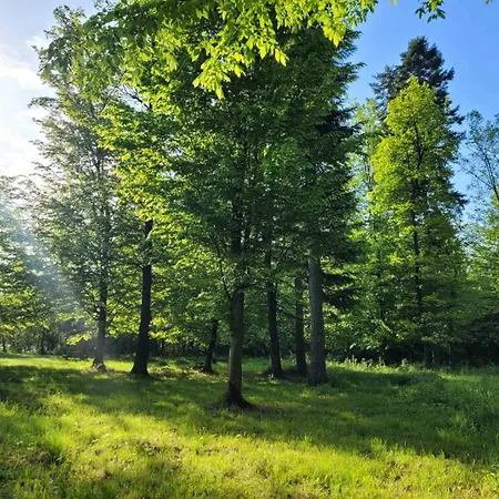 ворота карпат Szálloda *