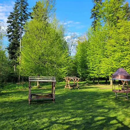 ворота карпат