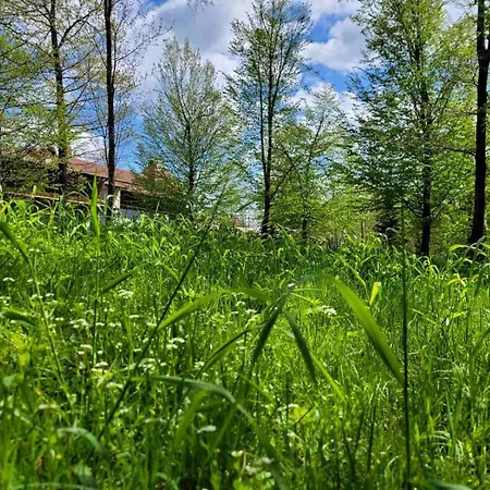 ворота карпат Dilyatyn