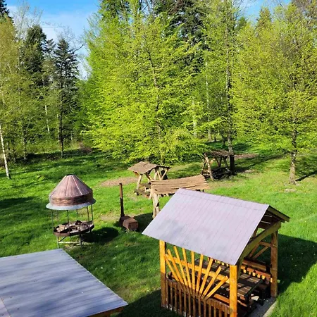 ворота карпат