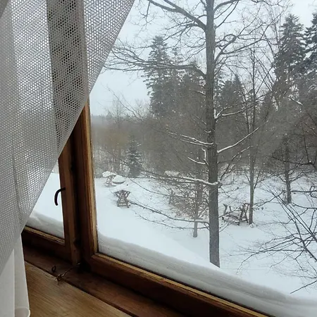 Hotel ворота карпат *