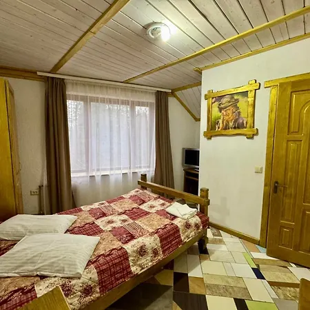 ворота карпат *