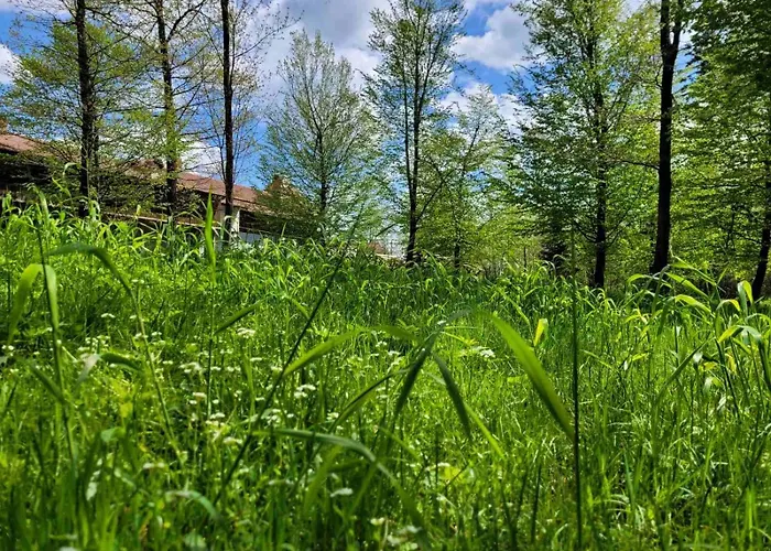 ворота карпат Deljatin