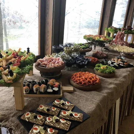 ворота карпат *