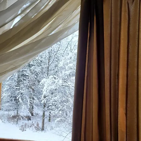 ворота карпат Dilyatyn