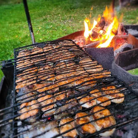 ворота карпат Hotel