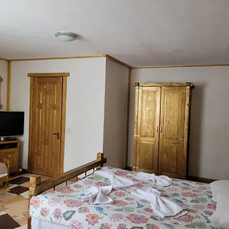 Hotel ворота карпат Dilyatyn