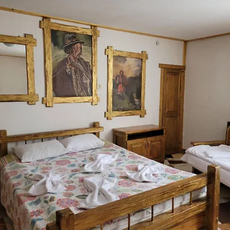 ворота карпат Dilyatyn