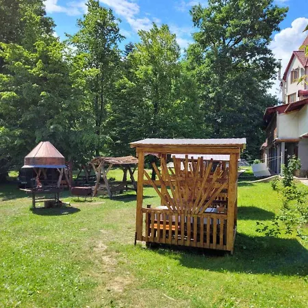 ворота карпат