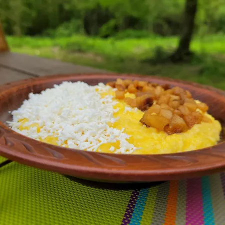 ворота карпат Dilyatyn