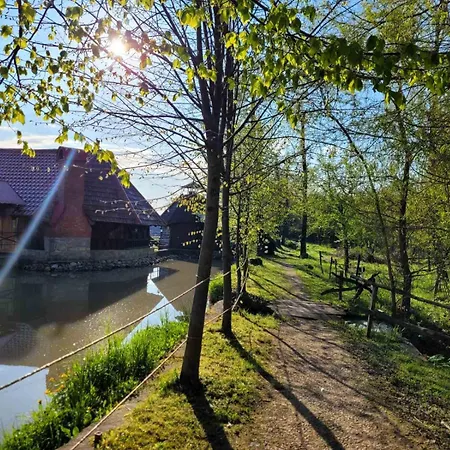 ворота карпат * Dilyatyn