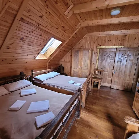 ворота карпат *